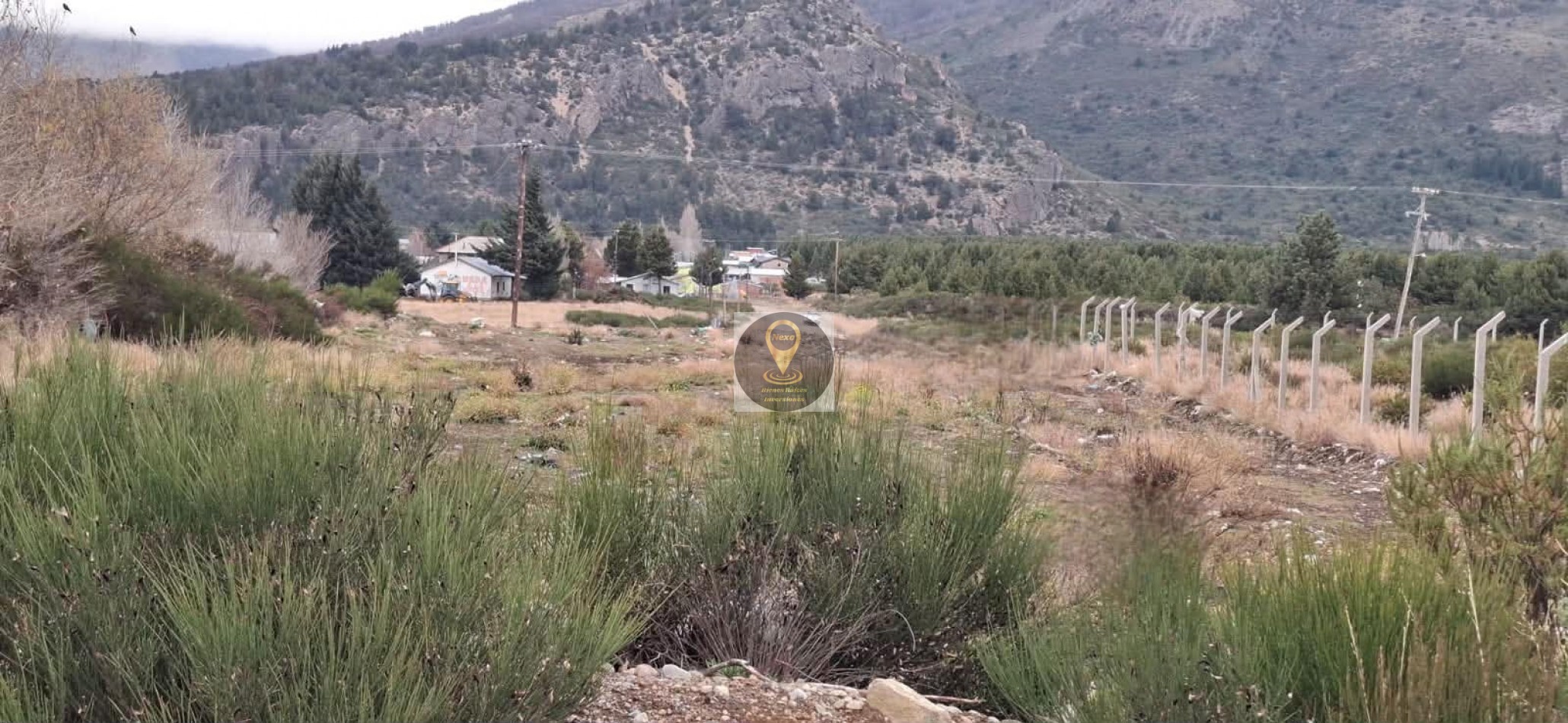 LOTE 5000aprox SOBRE RUTA 40SUR