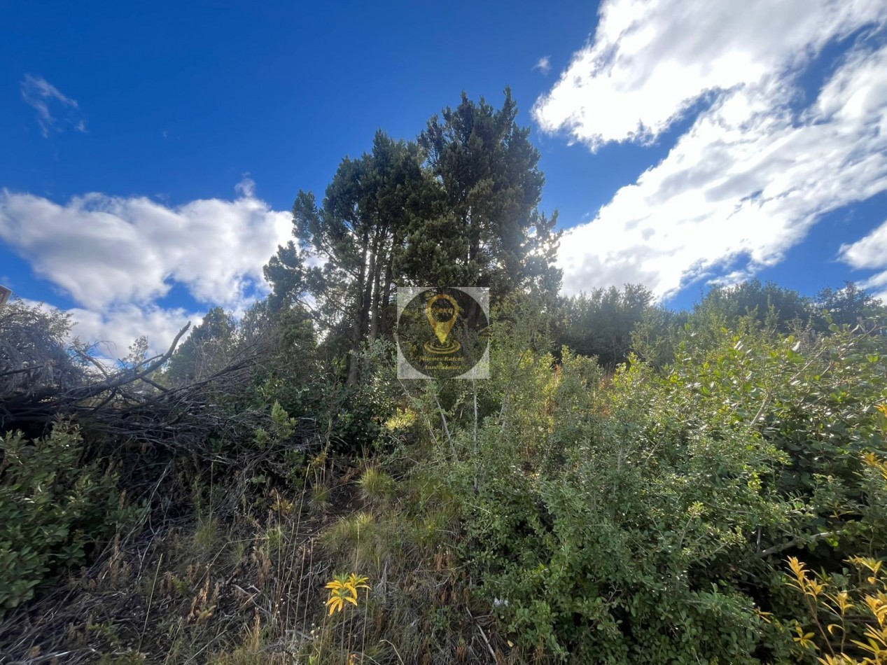  LOTE VALLE AZUL 