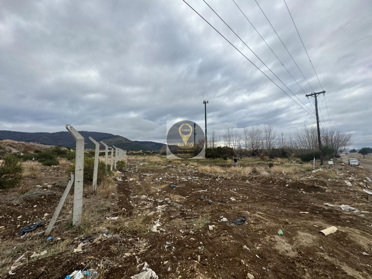LOTE 5000aprox SOBRE RUTA 40SUR
