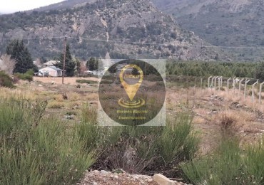 LOTE 5000aprox SOBRE RUTA 40SUR
