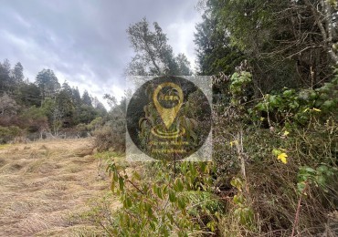 LOTE PINAR DE FESTA